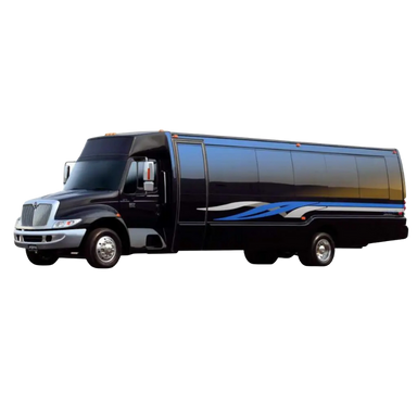 30 Passengers Party Bus