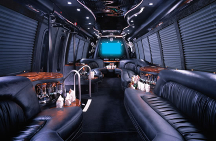 30 Passengers Party Bus 2
